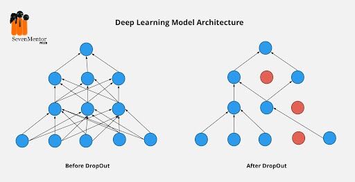 Dropout Layers