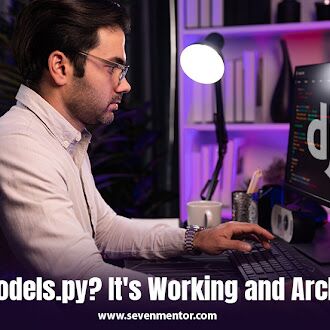 What is models.py? It's Working and Architecture